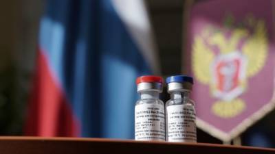 Александр Гинцбург - Гинцбург заявил об гипоаллергенности вакцины "Спутник V" - nation-news.ru
