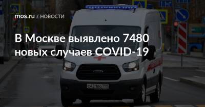 В Москве выявлено 7480 новых случаев COVID-19 - mos.ru - Москва