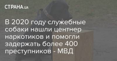 В 2020 году служебные собаки нашли центнер наркотиков и помогли задержать более 400 преступников - МВД - strana.ua - Украина