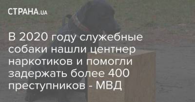 В 2020 году служебные собаки нашли центнер наркотиков и помогли задержать более 400 преступников – МВД - skuke.net - Украина