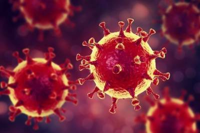 Виктор Петров - Ученый назвал группы риска для мутировавшего коронавируса - enovosty.com - Англия - Ужгород