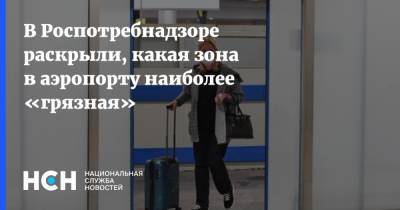 Михаил Лебедев - В Роспотребнадзоре раскрыли, какая зона в аэропорту наиболее «грязная» - nsn.fm