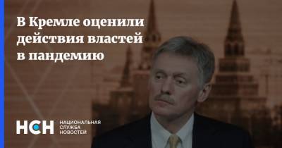 Дмитрий Песков - В Кремле оценили действия властей в пандемию - nsn.fm - Россия