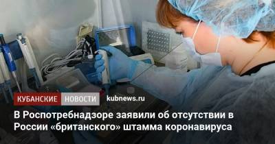 В Роспотребнадзоре заявили об отсутствии в России «британского» штамма коронавируса - kubnews.ru - Россия