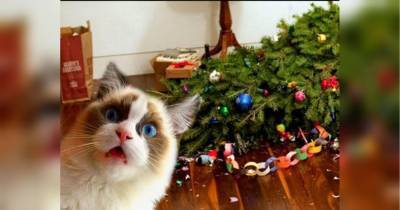 "Думали, не достану?!" Кот добрался до подвесной елки на потолке и рассмешил Сеть - fakty.ua - Украина