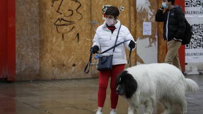 В Великобритании из-за коронавируса резко участились случаи похищения собак - ru.euronews.com - Россия - Англия