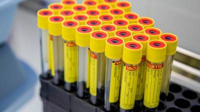 Новый «британский» штамм коронавируса обнаружили в Португалии - mir24.tv - Англия - Португалия