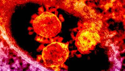 Венди Барклай - Ученые назвали причину высокой заразности нового варианта коронавируса для детей - gazeta.ru - Англия - Лондон