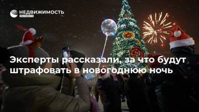 Эксперты рассказали, за что будут штрафовать в новогоднюю ночь - realty.ria.ru - Россия - Москва