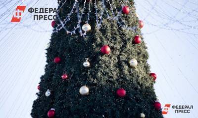 Олег Сухов - Россиянам объяснили, за что могут оштрафовать в Новый год из-за пандемии - fedpress.ru - Москва