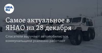 Самое актуальное в ЯНАО на 28 декабря. Спасатели выручают автомобилистов, коммунальщики усиленно работают - ura.news - округ Янао