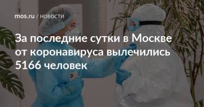 За последние сутки в Москве от коронавируса вылечились 5166 человек - mos.ru - Москва