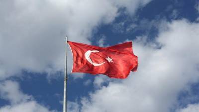 Фахреттин Коджа - Турция ввела ограничения для прибывающих туристов - piter.tv - Турция
