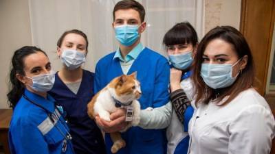 Борются за каждого, спасая всех: спасибо нашим врачам - crimea.ria.ru - Симферополь - республика Крым