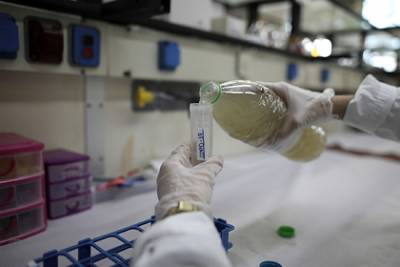 Мутировавший коронавирус нашли недалеко от российской границы - lenta.ru - Россия - Финляндия - Англия