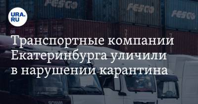 Транспортные компании Екатеринбурга уличили в нарушении карантина - ura.news - Россия - Екатеринбург