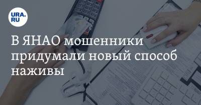 В ЯНАО мошенники придумали новый способ наживы - ura.news - Россия - округ Янао
