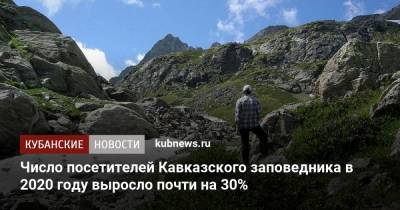 Число посетителей Кавказского заповедника в 2020 году выросло почти на 30% - kubnews.ru