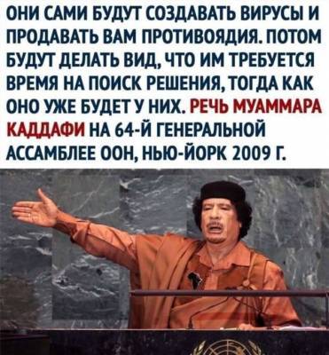 Каддафи был прав (1 фото) - skuke.net