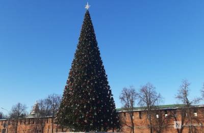 Вторую новогоднюю елку не будут устанавливать в Нижнем Новгороде - vgoroden.ru - Нижний Новгород