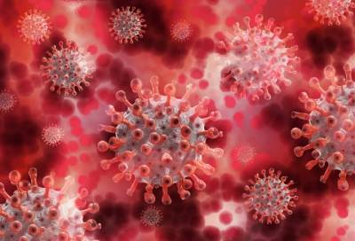 В Финляндии выявили «британский» штамм коронавируса - online47.ru - Россия - Sanomat - район Кюменлааксо - Finland