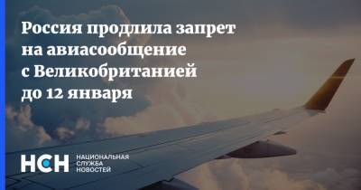 Россия продлила запрет на авиасообщение с Великобританией до 12 января - nsn.fm - Россия - Англия