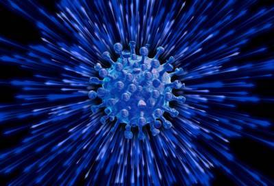 Учёные разработали сенсор, способный обнаружить коронавирус в воздухе - online47.ru