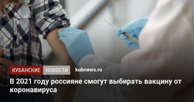 Татьяна Голикова - В 2021 году россияне смогут выбирать вакцину от коронавируса - kubnews.ru