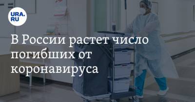 В России растет число погибших от коронавируса - ura.news - Россия