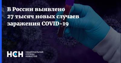 В России выявлено 27 тысяч новых случаев заражения COVID-19 - nsn.fm - Россия
