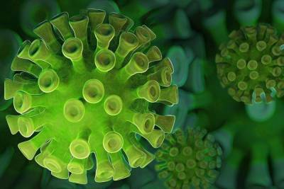 Германия: Мутировавший вариант коронавируса уже с ноября в Нижней Саксонии - mknews.de - Англия - Германия