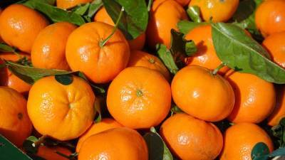 Медикам больницы в Удмуртии передали к Новому году более 2 тонн фруктов - russian.rt.com - Симферополь - республика Удмуртия