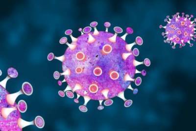 Ученые оценили роль Т-лимфоцитов в борьбе организма с коронавирусом - versia.ru