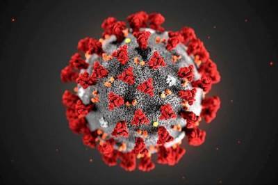 В России впервые за пандемию COVID-19 за сутки выявлено более 28 тысяч новых случаев заражения коронавирусной инфекцией - argumenti.ru