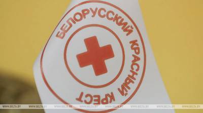 Красный Крест: в ситуации с коронавирусом ярко проявился гуманитарный потенциал белорусов - belta.by