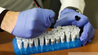 Обследование на коронавирус в Петербурге за сутки прошли 41 108 человек - nation-news.ru