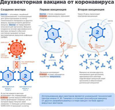 Структура "Сбера" может стать единым поставщиком вакцин от короонавируса - nakanune.ru