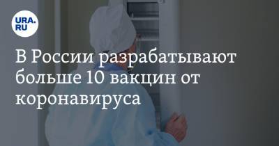 В России разрабатывают больше 10 вакцин от коронавируса - ura.news