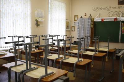 В Москве разрешили школьникам отдыхать до 17 января - abnews.ru - Москва
