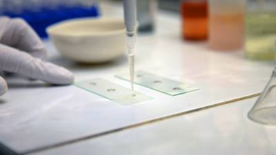 Бразильская компания подала заявку на третью стадию испытаний вакцины «Спутник V» - mir24.tv - Brazil - штат Парана