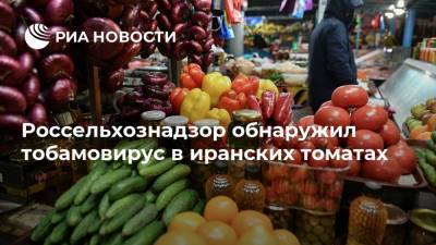 Россия - Россельхознадзор обнаружил тобамовирус в иранских томатах - ria.ru - Москва - Иран
