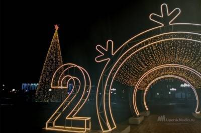 Липчане об уходящем 2020-м: «Дожить бы до 2022...» - lipetskmedia.ru - Липецк
