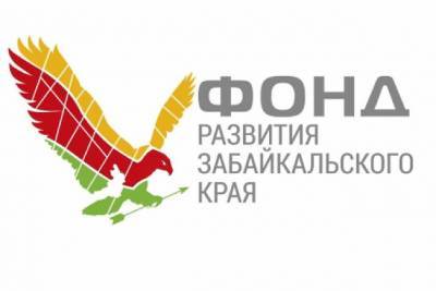 Директор Фонда развития Забайкалья осудил СМИ за «жаренные» факты и беспочвенные домыслы - chita.ru - Забайкальский край