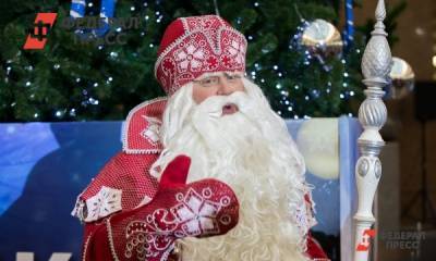 Россияне рассказали, что попросят у Деда Мороза - fedpress.ru
