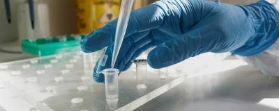 В Калининградской области выявлен еще 221 заразившийся коронавирусом - runews24.ru - Калининградская обл.