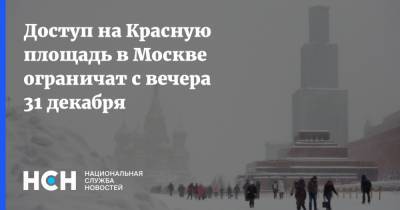 Доступ на Красную площадь в Москве ограничат с вечера 31 декабря - nsn.fm - Россия - Москва