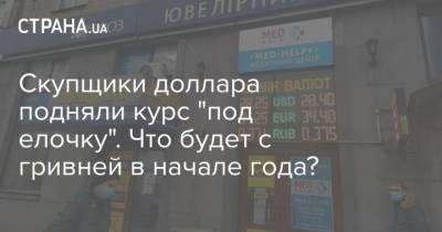 Скупщики доллара подняли курс “под елочку”. Что будет с гривней в начале года? - cryptos.tv - Украина