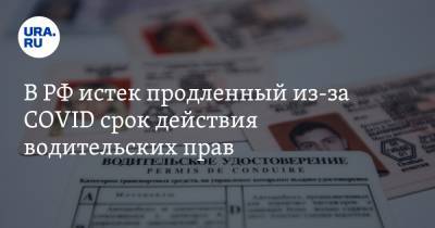 В РФ истек продленный из-за COVID срок действия водительских прав - ura.news - Россия