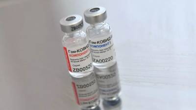 Абдельмаджид Теббун - Алжир использует вакцину «Спутник V» для вакцинирования населения - eadaily.com - Россия - Алжир - Алжирская Народная Демократическая Республика