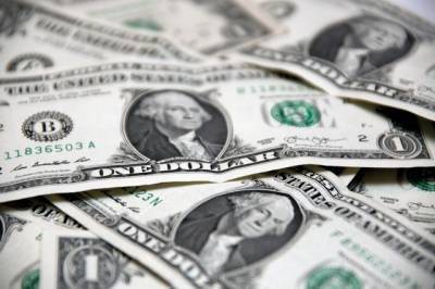 За 2020 год доллар США подорожал к рублю на 20% - aif.ru - Россия - Сша